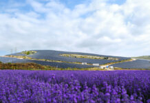 Apple finanzia la produzione di energia rinnovabile in Europa, impiianti anche in Sicilia - macitynet.it