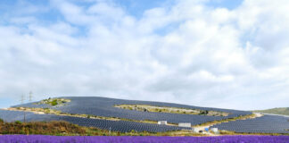 Apple finanzia la produzione di energia rinnovabile in Europa, impiianti anche in Sicilia - macitynet.it