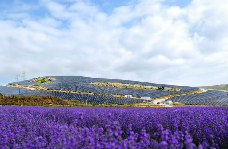 Apple finanzia la produzione di energia rinnovabile in Europa, impiianti anche in Sicilia - macitynet.it