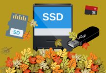 Offerte Autunno Amazon sulle memorie di Crucial, Lexar, Samsung, Sandisk, Seagate e WD - macitynet.it