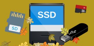 Offerte Autunno Amazon sulle memorie di Crucial, Lexar, Samsung, Sandisk, Seagate e WD - macitynet.it