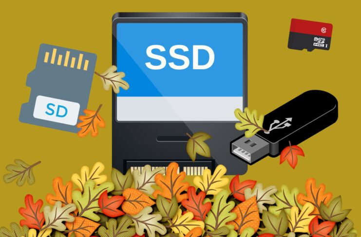 Offerte Autunno Amazon sulle memorie di Crucial, Lexar, Samsung, Sandisk, Seagate e WD - macitynet.it