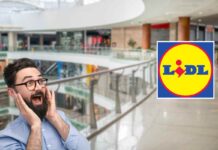 Costa centinaia di euro ma Lidl ha l’alternativa a soli 50 euro: sta facendo impazzire il web ultima offerta lidl