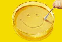 Pluribus, un trailer della serie su Apple TV Plus dal creatore di Breaking Bad Pluribus, un trailer della serie su Apple TV Plus dal creatore di Breaking Bad - macitynet.it