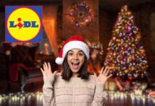 prodotto lidl natale