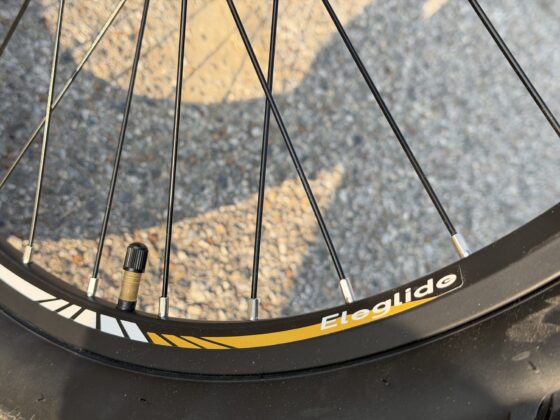 Recensione Bici Elettrica Eleglide C2, economica solo nel prezzo - macitynet.it