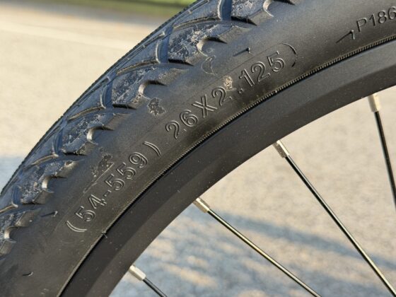 Recensione Bici Elettrica Eleglide C2, economica solo nel prezzo - macitynet.it