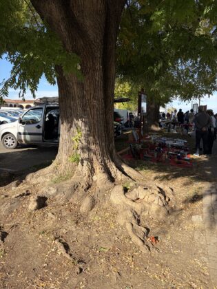 Recensione iPhone 17, quando Clark Kent è Superman - macitynet.it