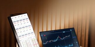 ASUS ZenScreen MB169CK