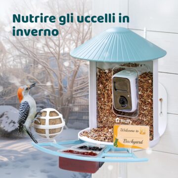 Black Friday: Birdfy Feeder, mangiatoia Smart con videocamera AI per identificare gli uccelli - macitynet.it