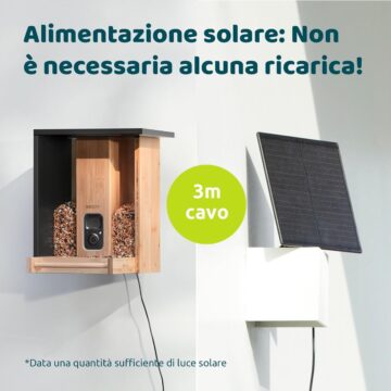 Black Friday: Birdfy Feeder, mangiatoia Smart con videocamera AI per identificare gli uccelli - macitynet.it