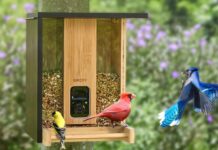 Black Friday: Birdfy Feeder, mangiatoia Smart con videocamera AI per identificare gli uccelli Black Friday: Birdfy Feeder, mangiatoia Smart con videocamera AI per identificare gli uccelli - macitynet.it