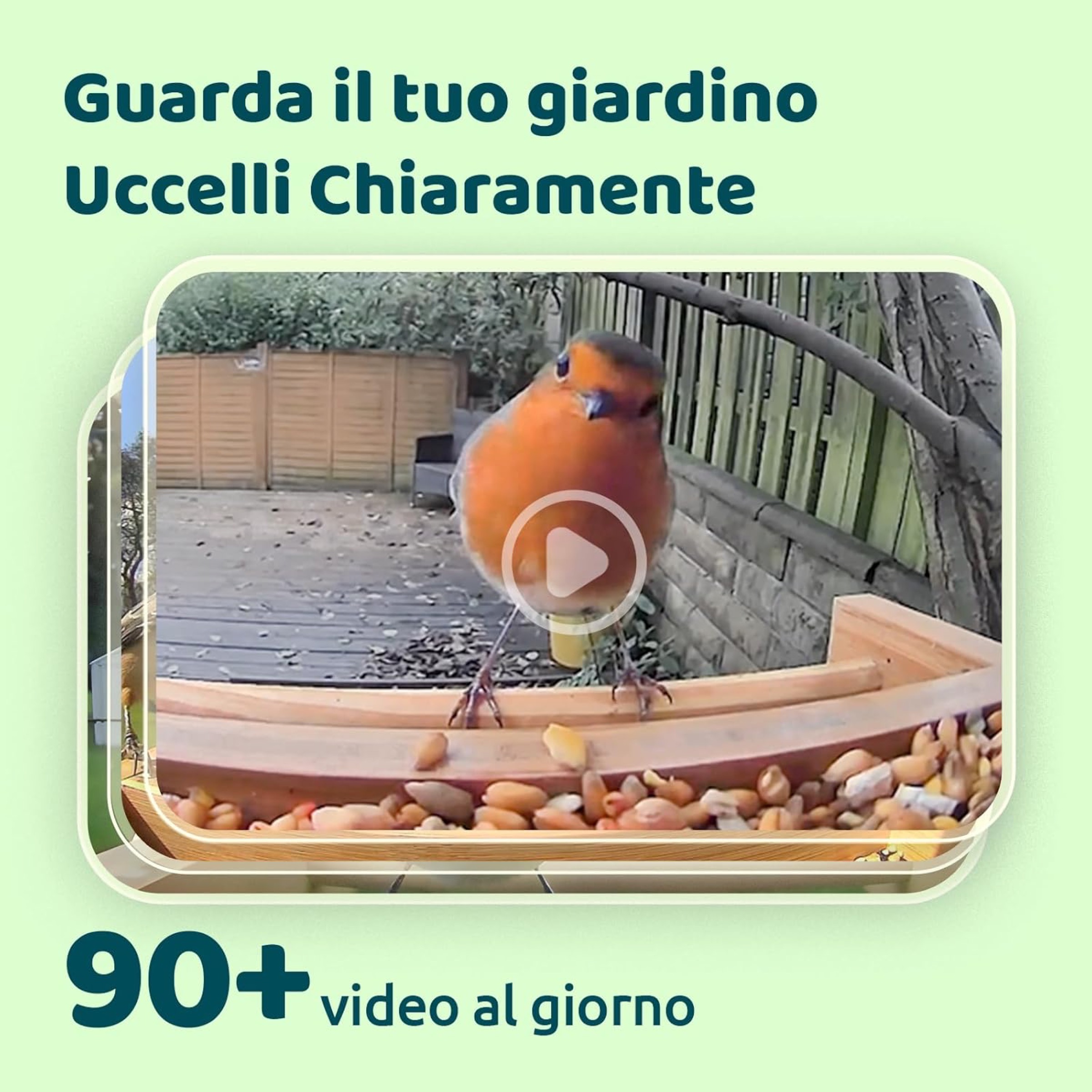 Black Friday: Birdfy Feeder, mangiatoia Smart con videocamera AI per identificare gli uccelli - macitynet.it Black Friday: Birdfy Feeder, mangiatoia Smart con videocamera AI per identificare gli uccelli - macitynet.it