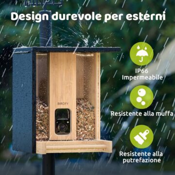Black Friday: Birdfy Feeder, mangiatoia Smart con videocamera AI per identificare gli uccelli - macitynet.it