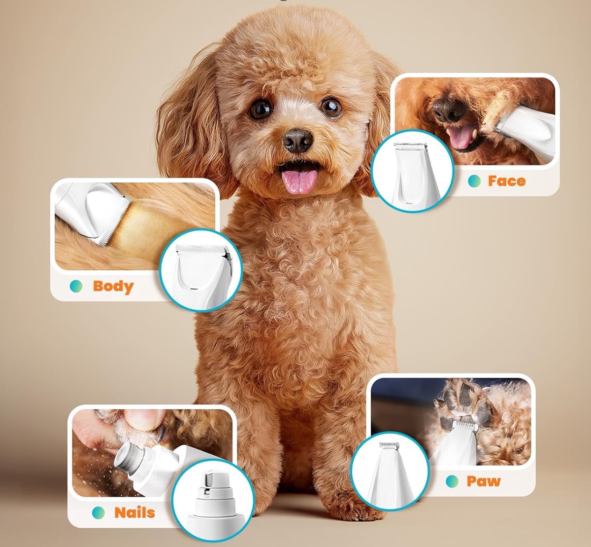 Oneisall FC10 è la tosatrice silenziosa per cani e gatti timorosi - macitynet.it Oneisall FC10 è la tosatrice silenziosa per cani e gatti timorosi - macitynet.it