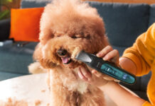 Oneisall FC10 è la tosatrice silenziosa per cani e gatti timorosi Oneisall FC10 è la tosatrice silenziosa per cani e gatti timorosi - macitynet.it