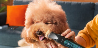 Oneisall FC10 è la tosatrice silenziosa per cani e gatti timorosi - macitynet.it