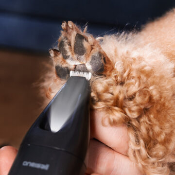 Oneisall FC10 è la tosatrice silenziosa per cani e gatti timorosi - macitynet.it