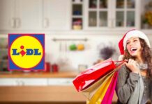 elettrodomestico offerta lidl