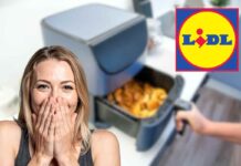 offerta friggitrice ad aria lidl