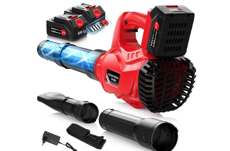 Soffiatore per giardini senza fili con due batterie incluse