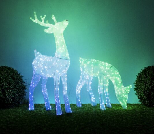 Natale 2025, gli italiani tra caro vita e stress da acquisti Da Twinkly le nuove luci per illuminare e rendere smart il Natale 2025 - macitynet.it