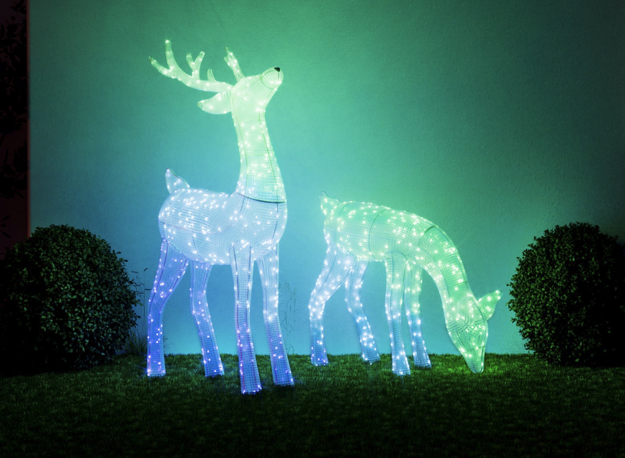 Da Twinkly le nuove luci per illuminare e rendere smart il Natale 2025 - macitynet.it Da Twinkly le nuove luci per illuminare e rendere smart il Natale 2025 - macitynet.it