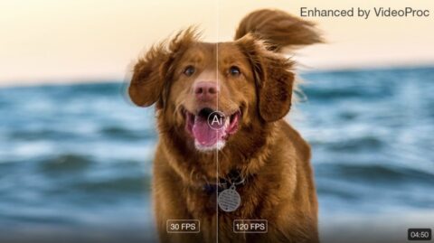 Ridate vita a vecchie foto e video: VideoProc Converter AI con il 62% di sconto