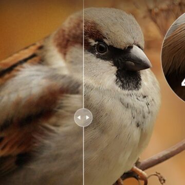 VideoProc Converter AI sfrutta Apple Silicon per portare le immagini fino a 10K - macitynet.it