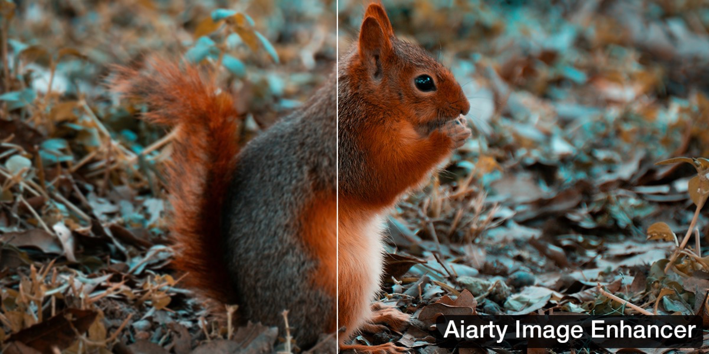 Offerte Natale: il restauro fotografico di Aiarty Image Enhancer V3.5 a metà prezzo - macitynet.it Offerte Natale: il restauro fotografico di Aiarty Image Enhancer V3.5 a metà prezzo - macitynet.it