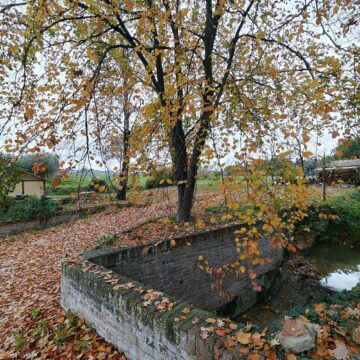 Recensione Smartphone Realme GT 8 Pro, il top di gamma che fotografa come con una Ricoh GR - macitynet.it