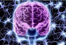 Leggere i pensieri con l’IA: tra miracoli medici e la battaglia per la privacy mentale cervello