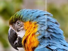 HitPaw VikPea, il Miglior Video Enhancer per Mac nel 2026 HitPaw VikPea per Mac: ottimizzazione video al top grazie all'AI - macitynet.it