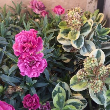 Recensione Smartphone Realme GT 8 Pro, il top di gamma che fotografa come con una Ricoh GR - macitynet.it