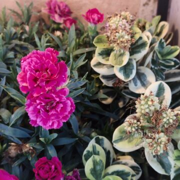 Recensione Smartphone Realme GT 8 Pro, il top di gamma che fotografa come con una Ricoh GR - macitynet.it