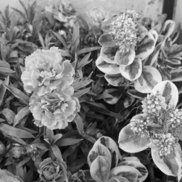 Recensione Smartphone Realme GT 8 Pro, il top di gamma che fotografa come con una Ricoh GR - macitynet.it