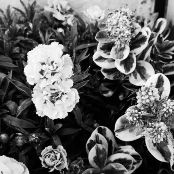 Recensione Smartphone Realme GT 8 Pro, il top di gamma che fotografa come con una Ricoh GR - macitynet.it