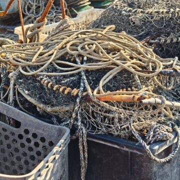 Recensione Smartphone Realme GT 8 Pro, il top di gamma che fotografa come con una Ricoh GR - macitynet.it