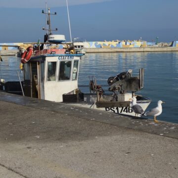 Recensione Smartphone Realme GT 8 Pro, il top di gamma che fotografa come con una Ricoh GR - macitynet.it