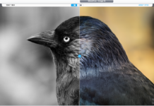 Nessun abbonamento, nessuna curva di apprendimento: migliora i tuoi video e le tue foto in 4K con un clic Nessun abbonamento, nessuna curva di apprendimento: migliora i tuoi video e le tue foto in 4K con un clic - macitynet.it