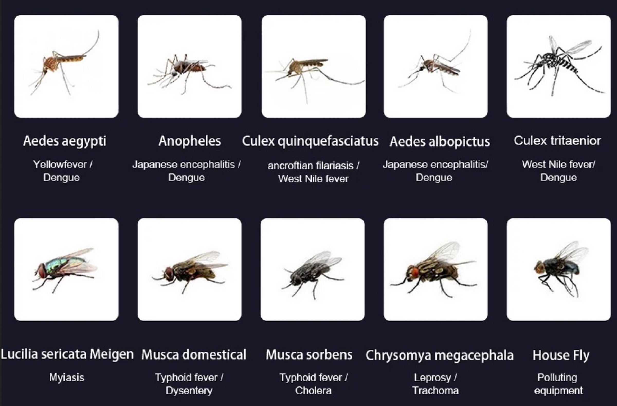 Prevenire è meglio che grattare: solo 1 € la lampada anti zanzare - macitynet.it