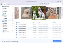 Recuperate i dati persi su Mac con Magoshare Data Recovery Enterprise Recuperate i dati persi su Mac con Magoshare a soli 5 $ - macitynet.it