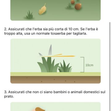Recensione MOVA 1000, il robot tagliaerba senza filo che punta sulla semplicità - macitynet.it