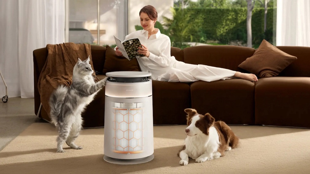 Addio peli e cattivi odori in casa, arriva Dreame FP10 per chi ha animali - macitynet.it Addio peli e cattivi odori in casa, arriva Dreame FP10 per chi ha animali - macitynet.it