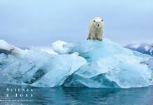 I migliori libri sul cambiamento climatico macitynet.it
