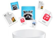 Liberare spazio su Mac con Duplicate File Finder può fare la differenza Liberare spazio su Mac con Duplicate File Finder può fare la differenza - macitynet.it