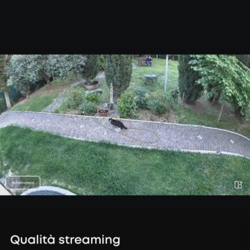 Recensione eufyCam C37, videocamera solare a 360° con AI senza abbonamenti - macitynet.it