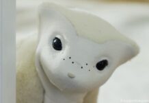 Il papà di Roomba vuole portarci in casa un robot da accarezzare Il papà di Roomba vuole portarci in casa un robot da accarezzare - macitynet.it