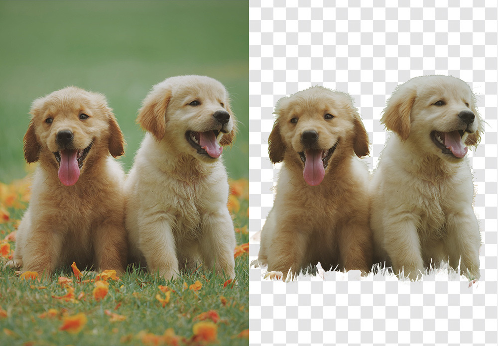 Aiarty Image Matting: rimuove lo sfondo da immagini e foto con l’AI, licenza a vita scontata del 43% - macitynet.it Aiarty Image Matting: rimuove lo sfondo da immagini e foto con l’AI, licenza a vita scontata del 43% - macitynet.it