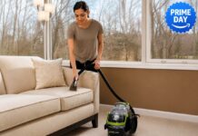 Il lavamoquette per chi ha animali in casa crolla a 149,99€ - macitynet.it